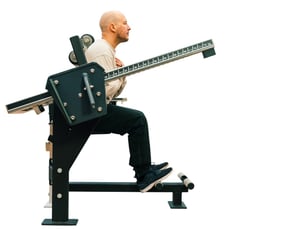 Sittande ryggpress, Omnigym maskin för utomhusbruk