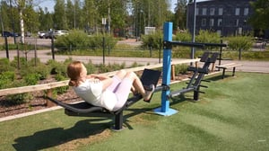 OGC7abdominalbench